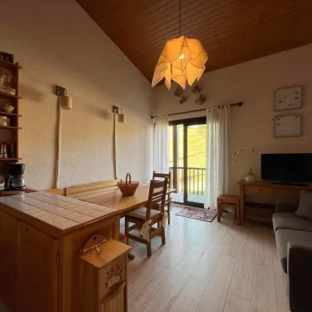 T2 Duplex Sur Piste Pour 6 Pers Avec Box A Skis Au Super-sauze - Fr-1-165a-132 아파트 Enchastrayes