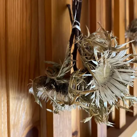 T2 Duplex Sur Piste Pour 6 Pers Avec Box A Skis Au Super-sauze - Fr-1-165a-132 * Enchastrayes