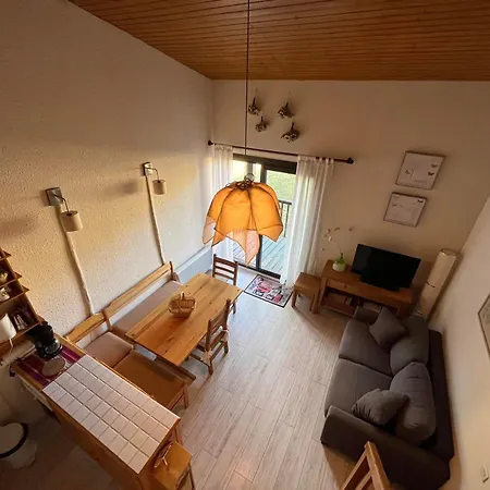 T2 Duplex Sur Piste Pour 6 Pers Avec Box A Skis Au Super-sauze - Fr-1-165a-132 Apartment